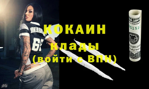 шишки Гусь-Хрустальный