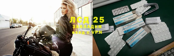 прущая мука Ельня