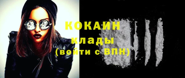 мдпв Елизово