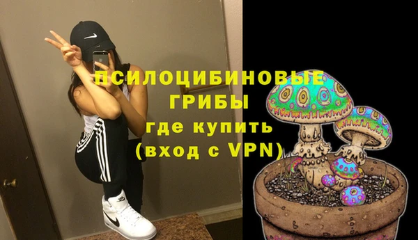 кокс Гусев