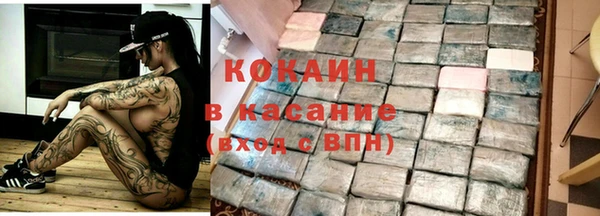 стаф Дмитровск