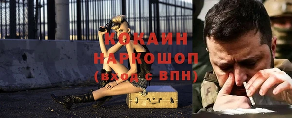 прущая мука Ельня