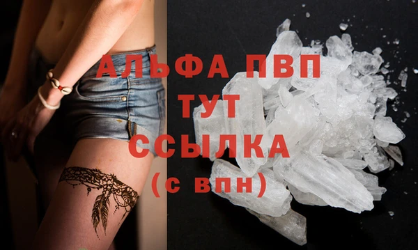 стаф Дмитровск