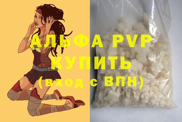 шишки Гусь-Хрустальный
